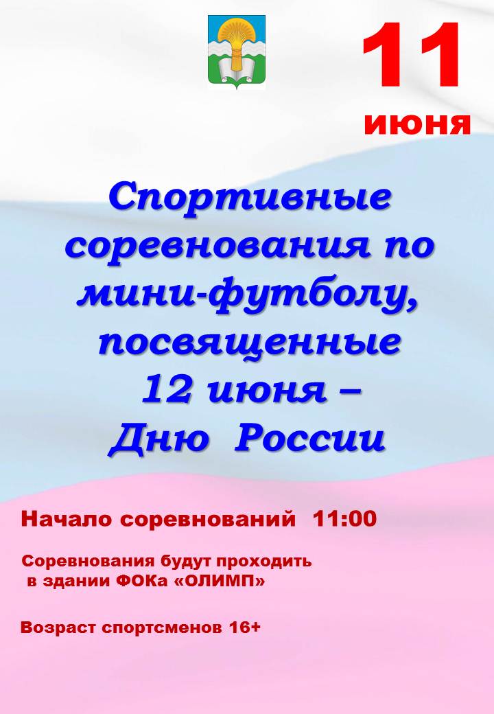 Спортивные соревнования по мини-футболу, посвященные 12 июня — Дню России.