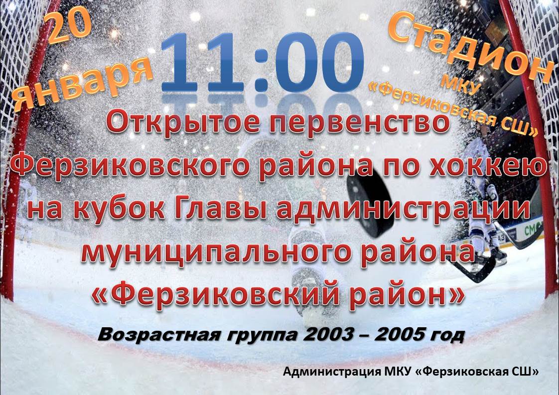 Открытие первенство Ферзиковского района по хоккею на кубок Главы администрации муниципального района «Ферзиковский район».