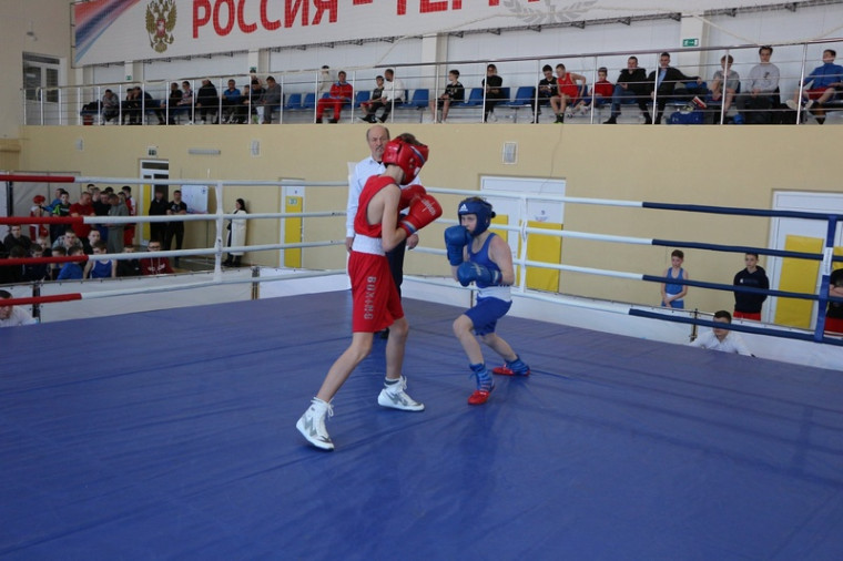 Всероссийские соревнования по боксу.
